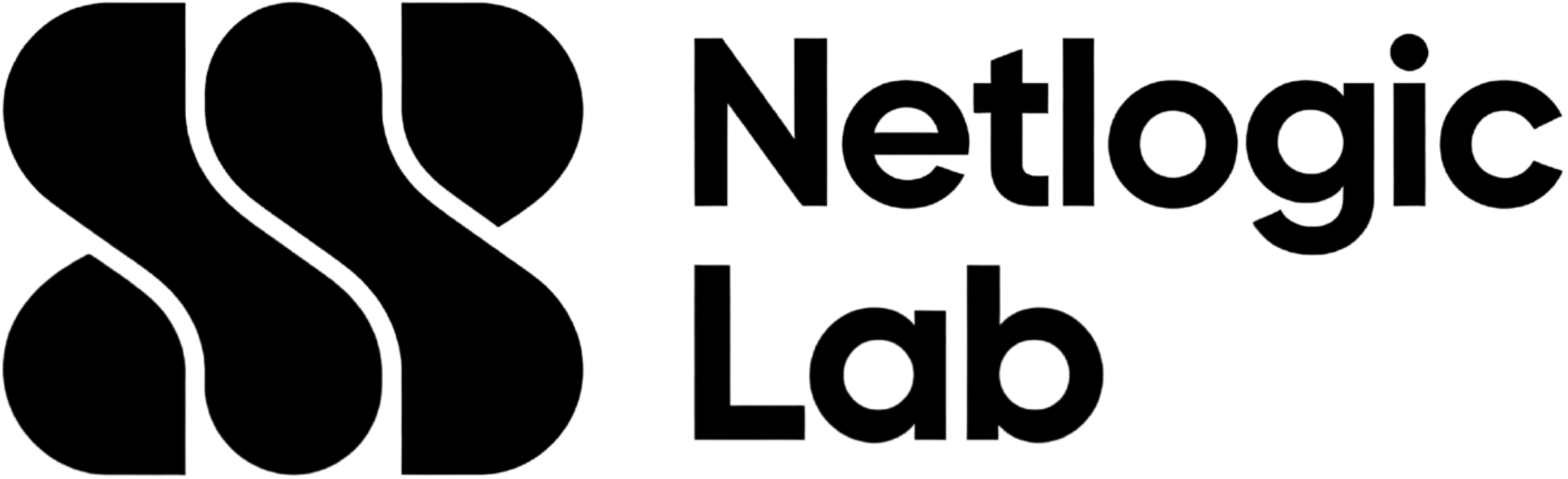 Netlogic Lab